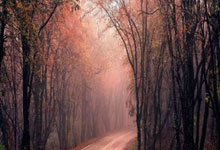 爱游戏官网：丁俊晖搭上巡回锦标赛末班车！5人争夺最后2席，.