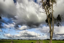 爱游戏官网：詹姆斯10分浓眉12+11 湖人不敌森林狼近7战5负.