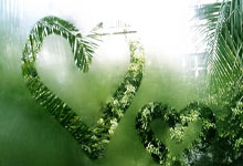 爱游戏官网：[英超]两分钟定红蓝 曼联逆转笑傲“曼市德比”.