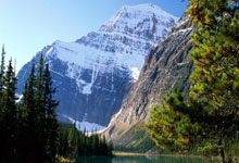 切尔西学学吧，看看阿根廷队，如何将恩佐改成“8号梅西”.