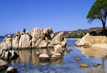 [法甲]“三连扑”难保三分 欧塞尔七轮不胜.